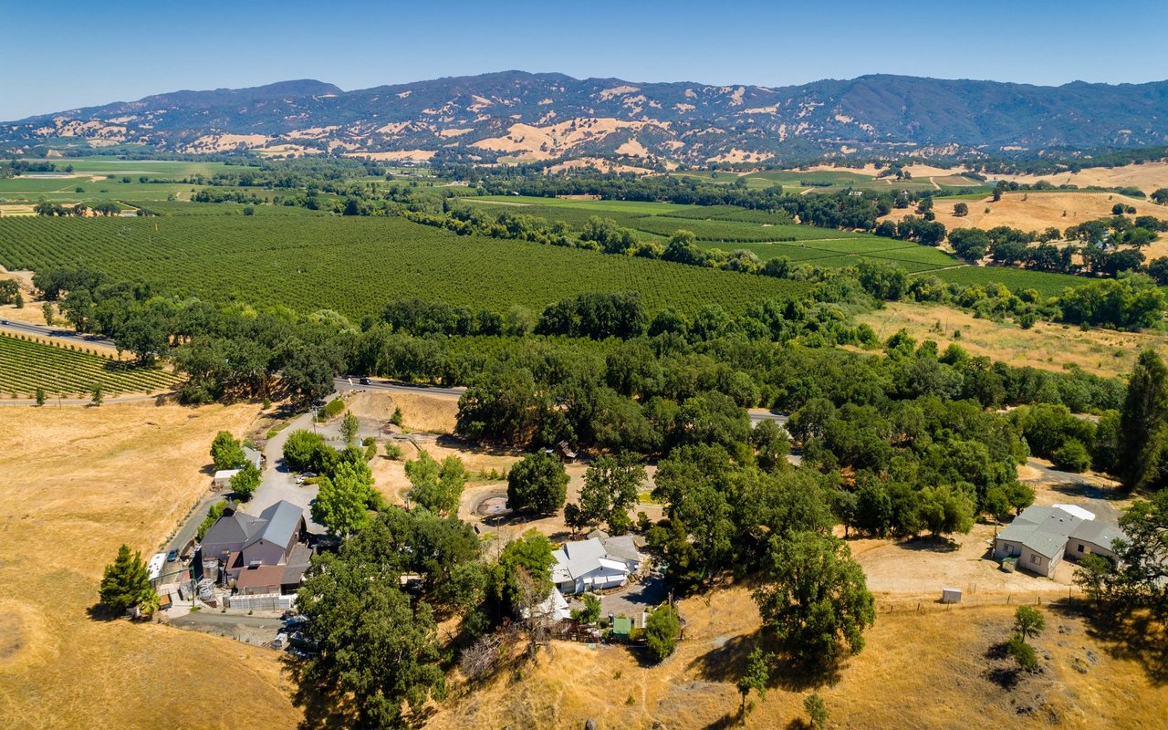 Invest in Wine? Why Not Invest in the Winery?