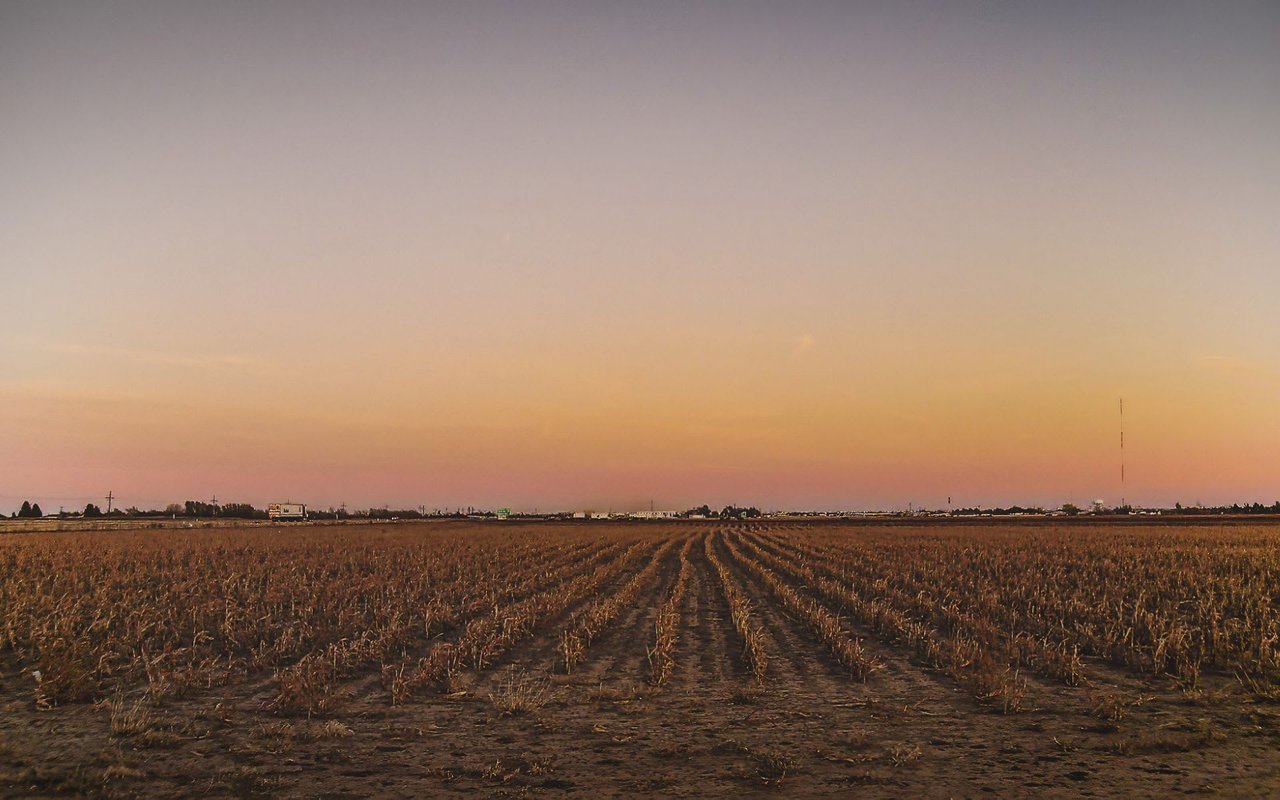 Future Trends in Texas Agriculture
