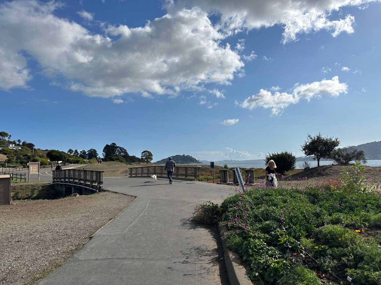 Blackies Pasture: Marin County's Scenic Trail with a View