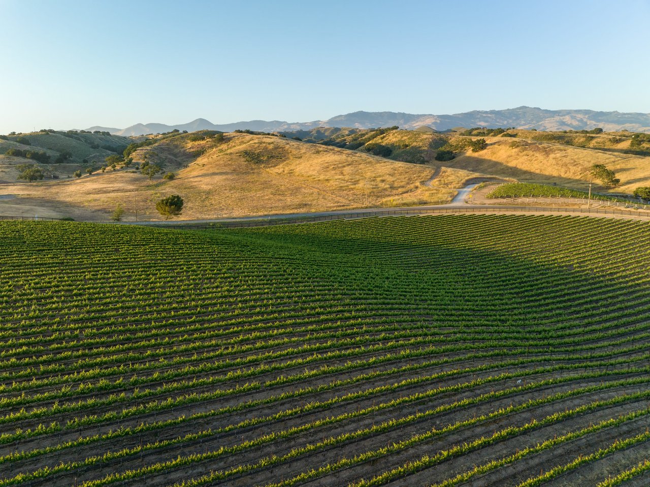 Build your Dream Vineyard Estate