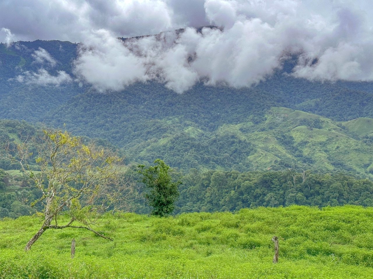 Waterfall Eco Resort Land, Dominical, Puntarenas
