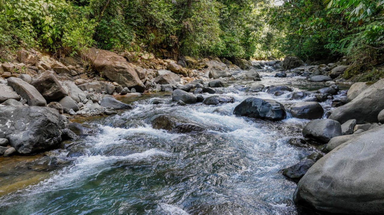 Waterfall Riverfront View Land, Uvita, Puntarenas