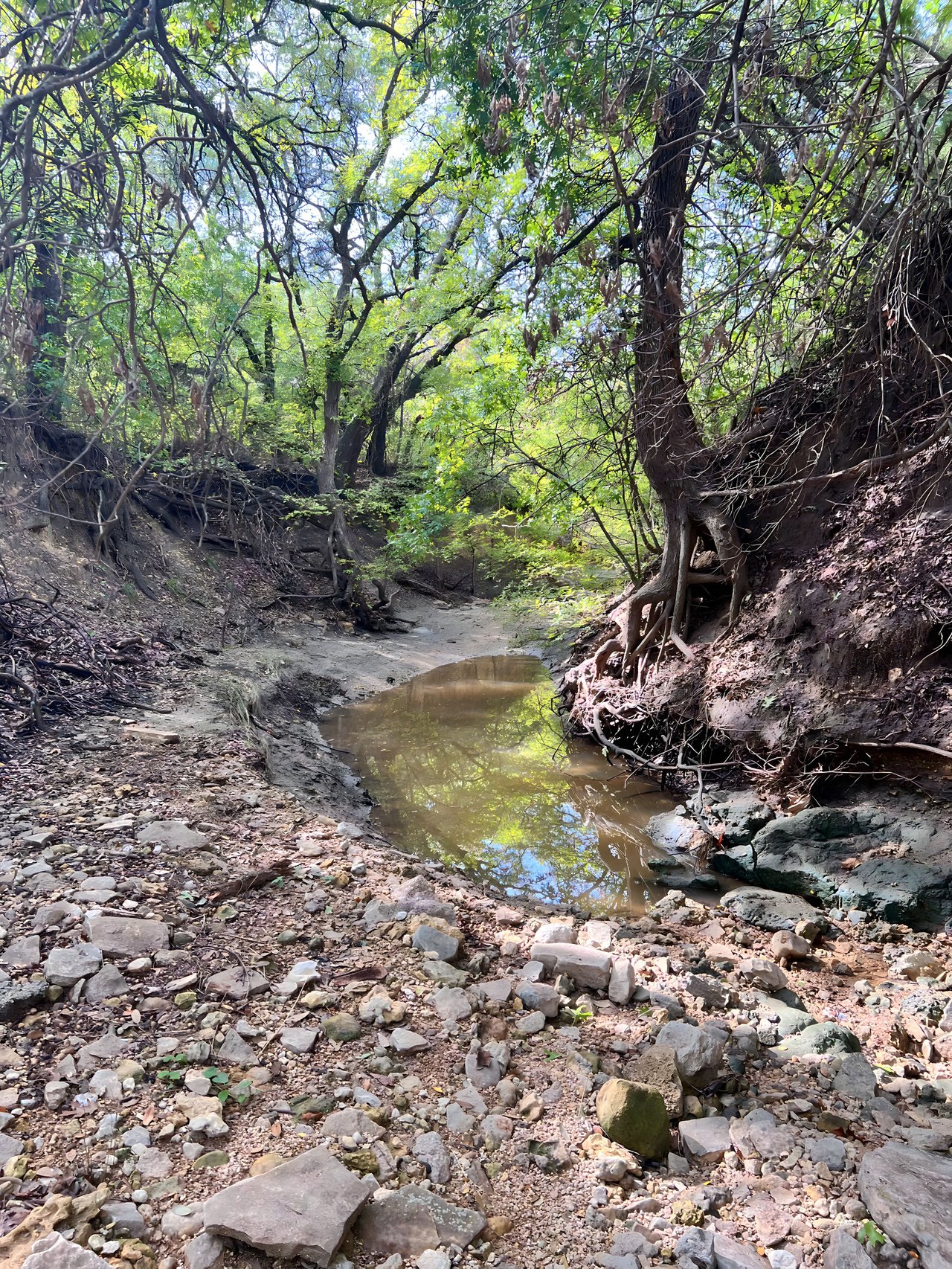 May Creek Ranchette | 10 +/- ACRES | Brown County, Texas