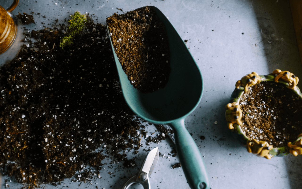 Landscaping Your New Vancouver, WA Home