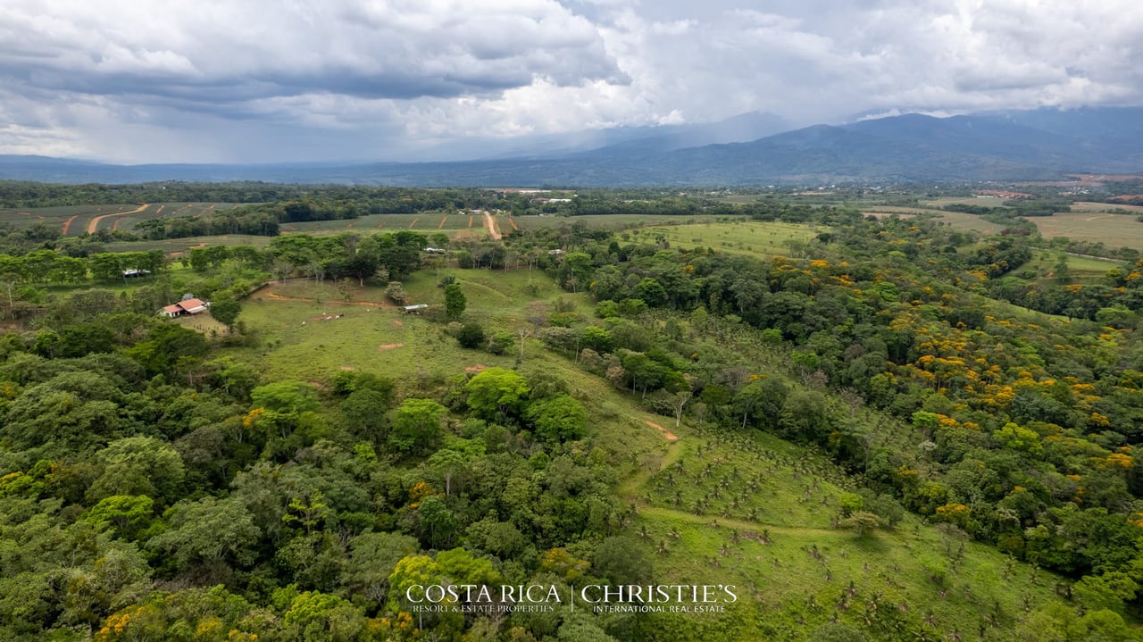 Finca Buenos Aires