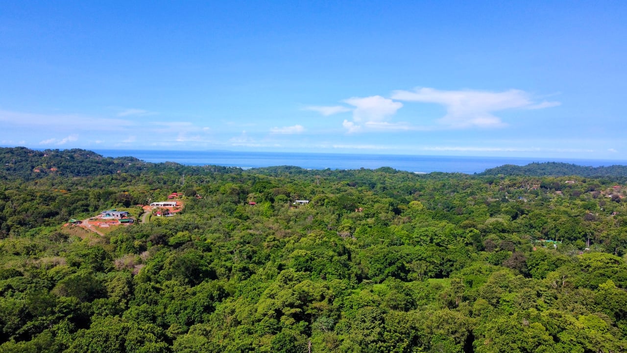 Surfer's Dream in Ojochal; 2 Bedrooms, 2 Bathrooms with Pool and River Access