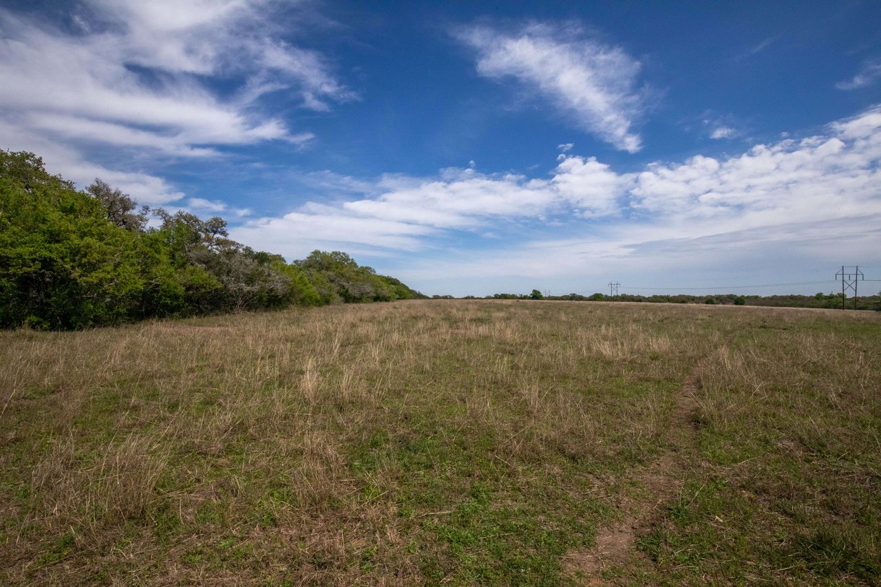 Weesatche 110 Acres