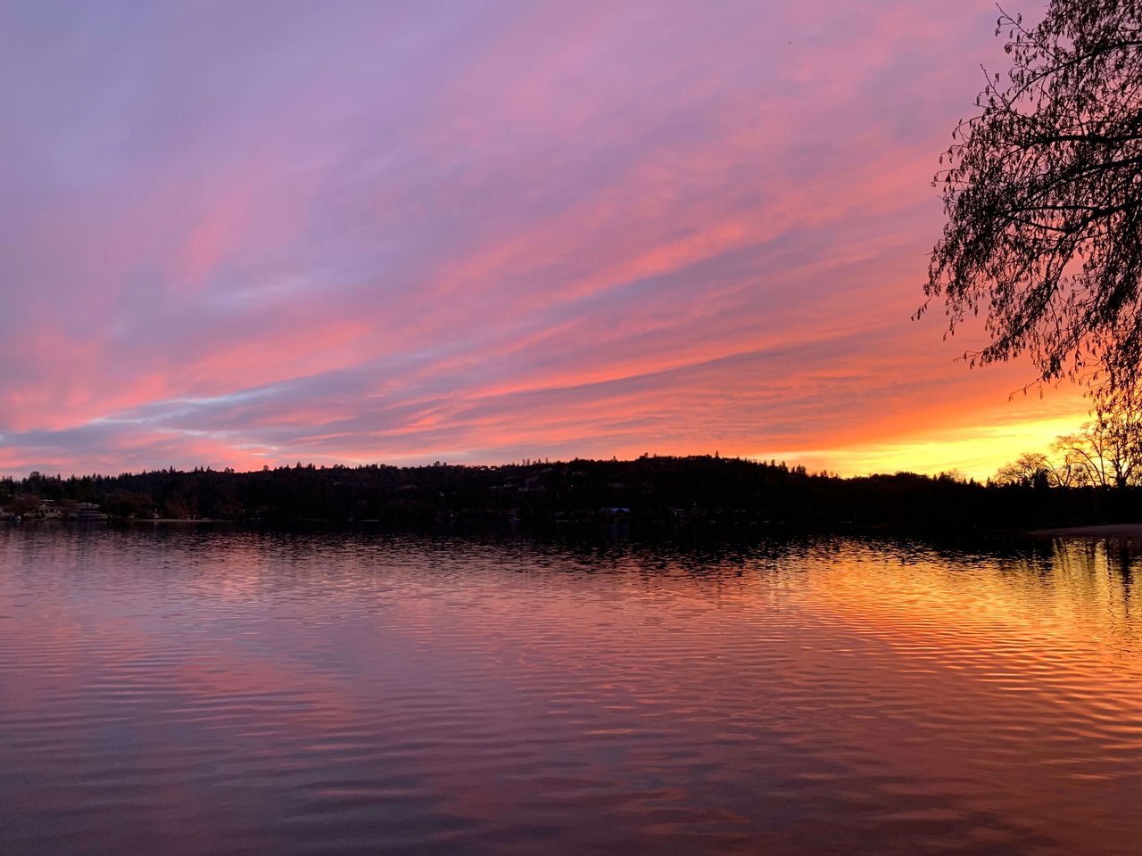 Lake Wildwood