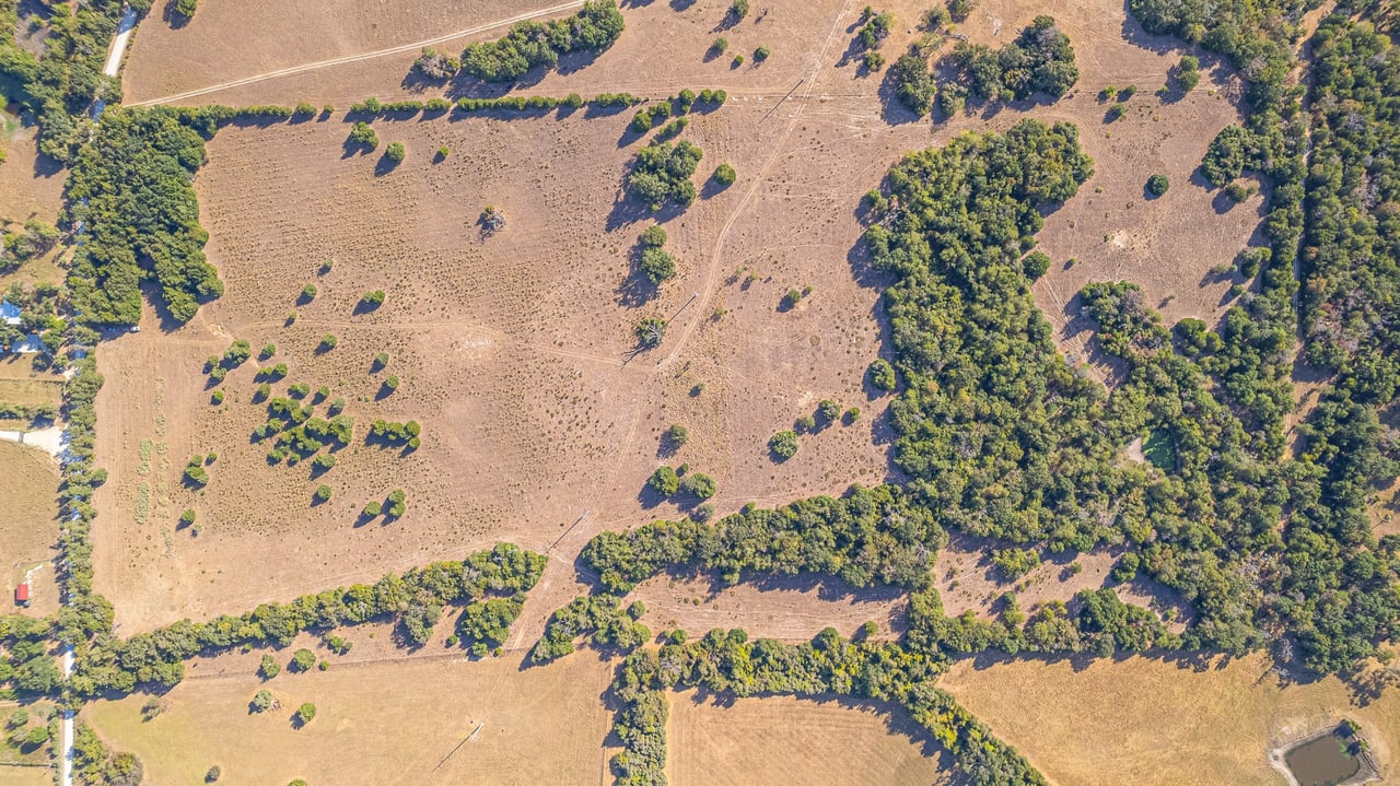 59.59 Acres in Brazos Valley region