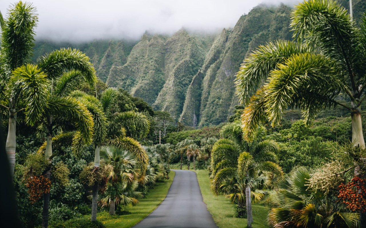 Morning Walks in Hawaii Kai