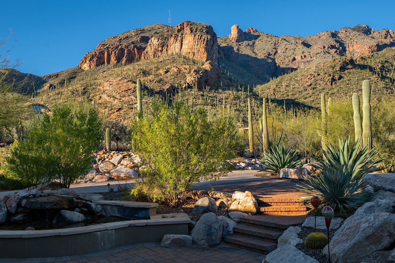 The Canyons 