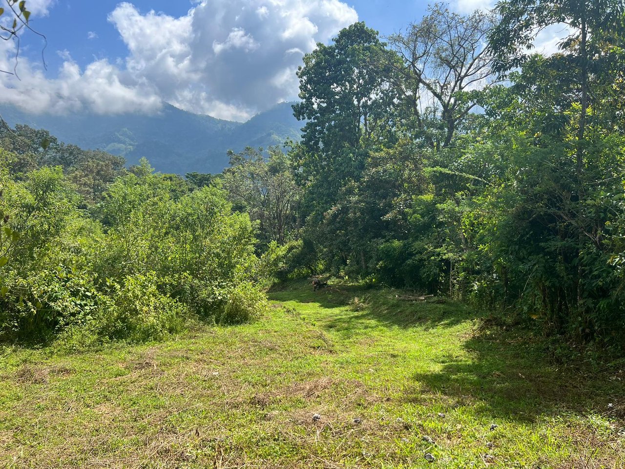 Prime Mountain Farm Land with Ocean Views and Private Waterfall in Uvita, Costa Rica