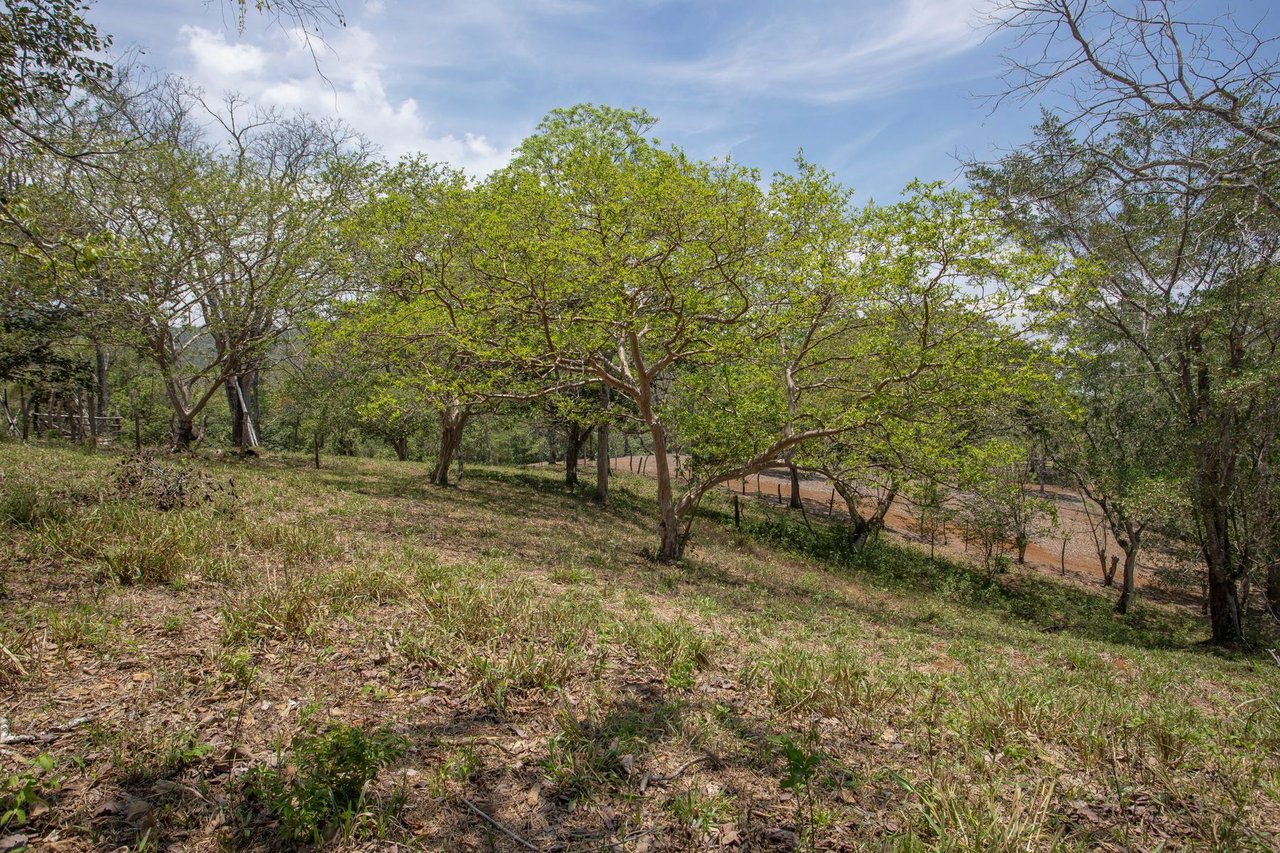 Central Valley View Parcel, Ciudad Colon, San Jose