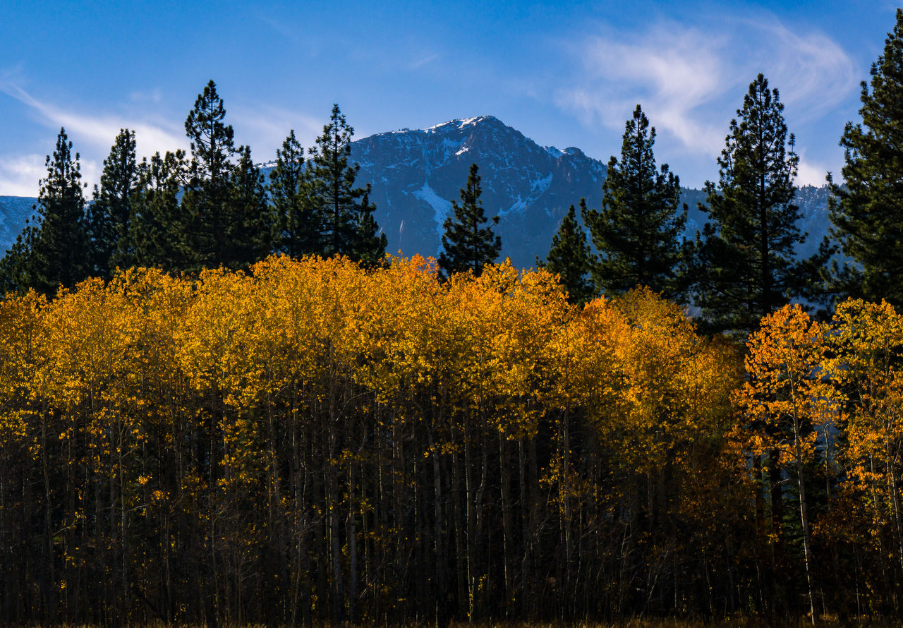 Discover Breathtaking Fall Hikes in Lake Tahoe: A Guide from Your Incline Village Realtor