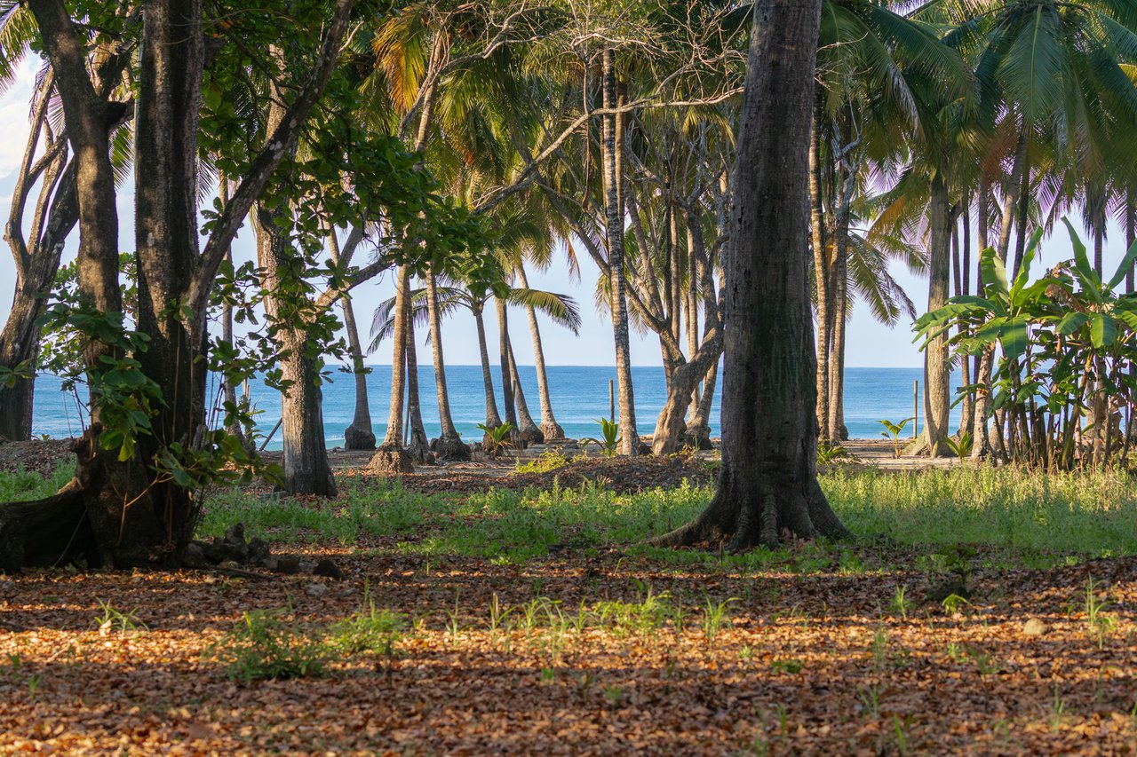 Prime Beachfront Concession Land, Santa Teresa, Puntarenas