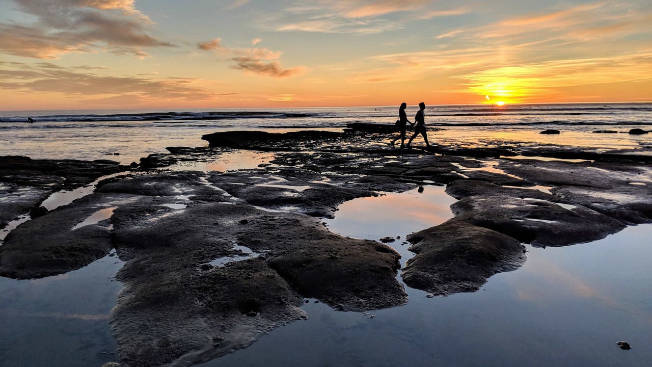 Cardiff By The Sea