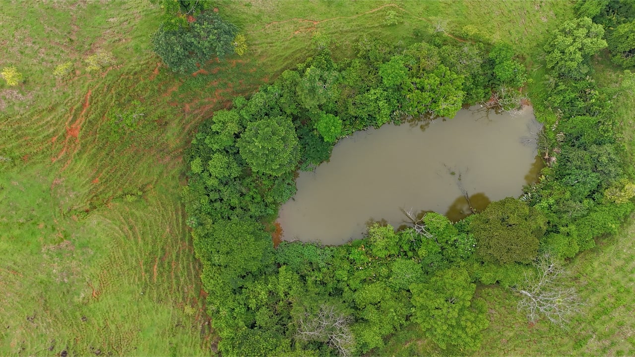 Waterfall Eco Resort Land, Dominical, Puntarenas