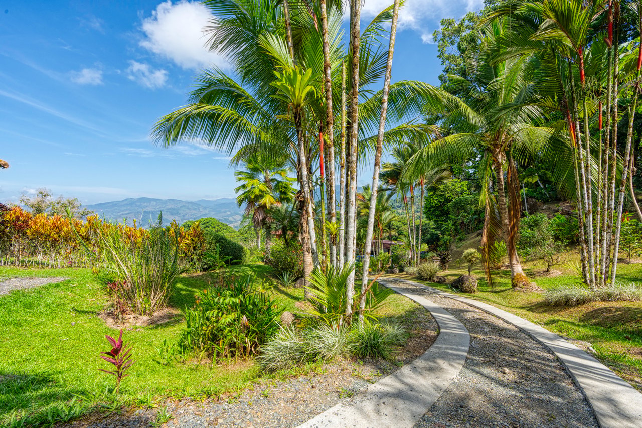 Mountain View Cabin With Pool, Perez Zeledon, San Jose