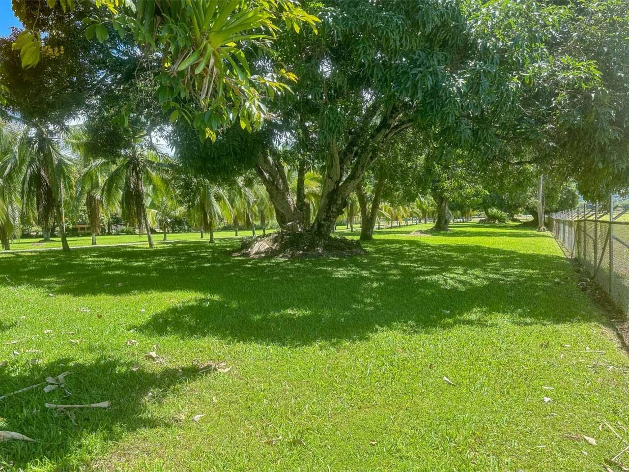 Prime Aviation Development Land, Osa, Puntarenas