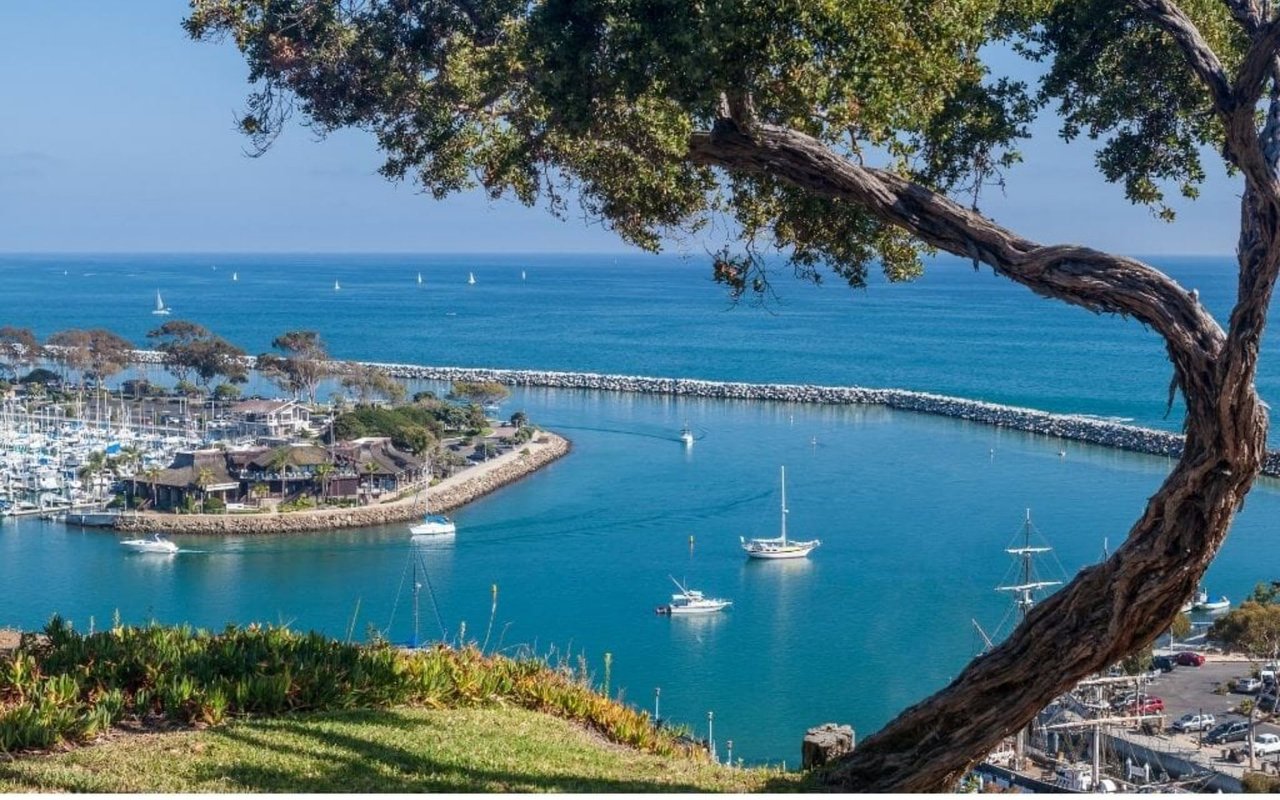 Top 6 Reasons People Love Living in Dana Point