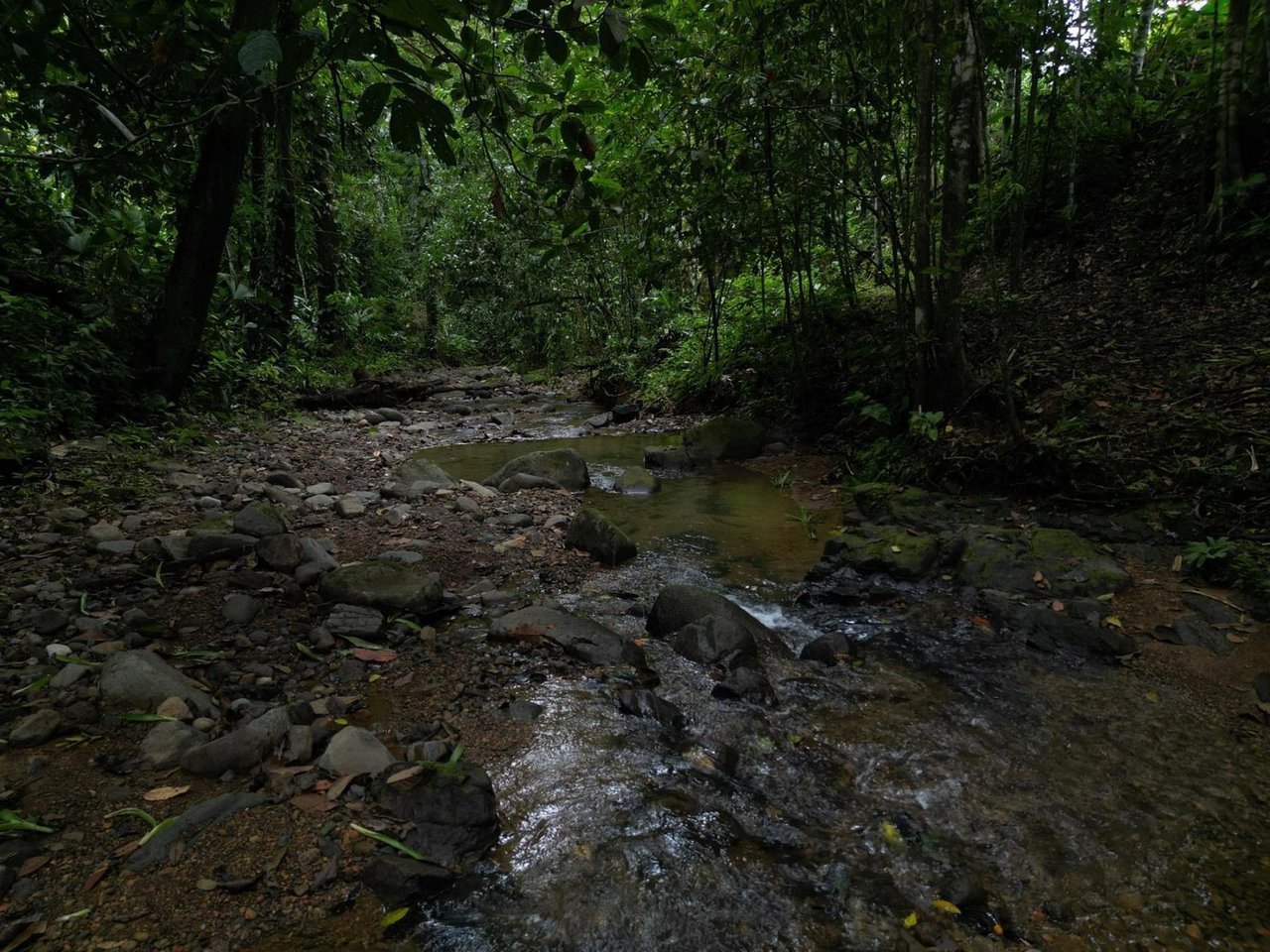 Riverside Boutique Villa Resort, Ojochal, Puntarenas