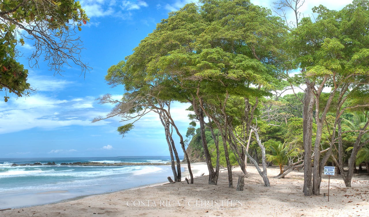 Playa Barrigona Beach Front