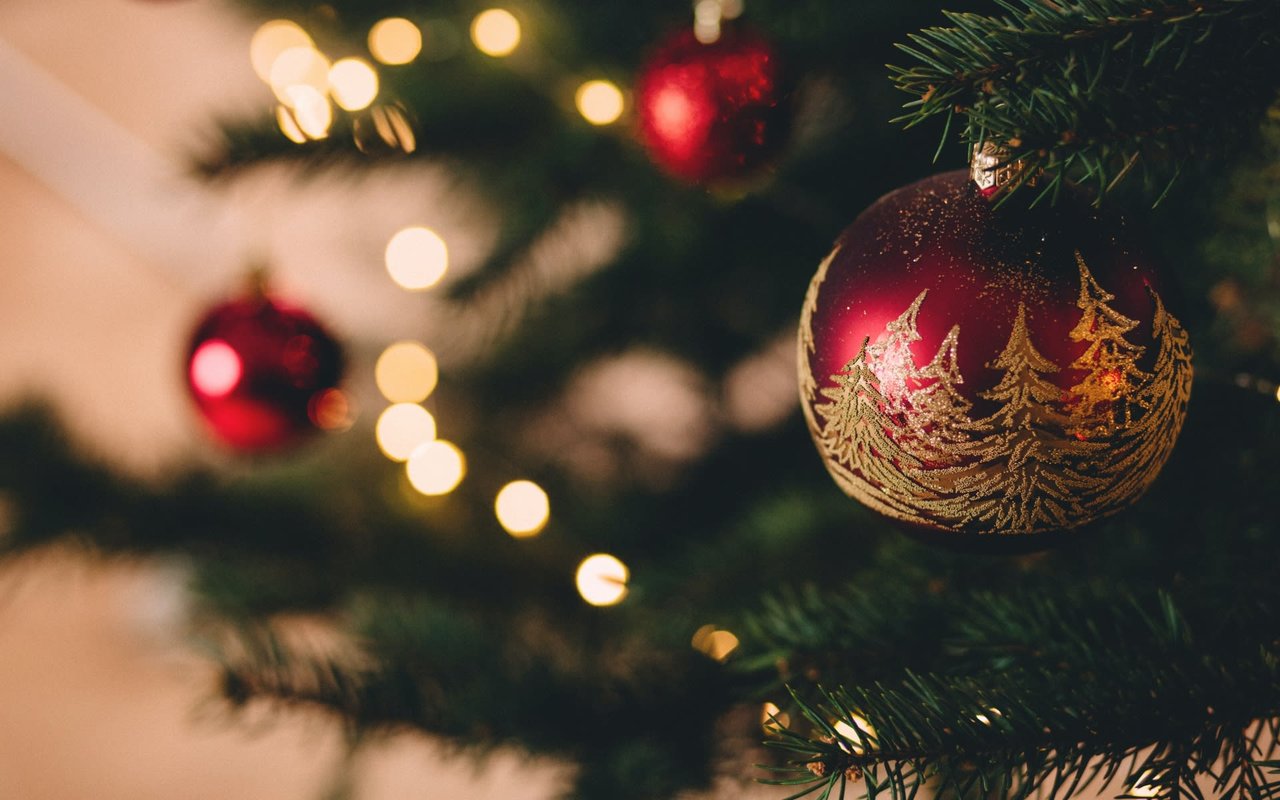 Discover the Magic of December in Nanaimo and the Area