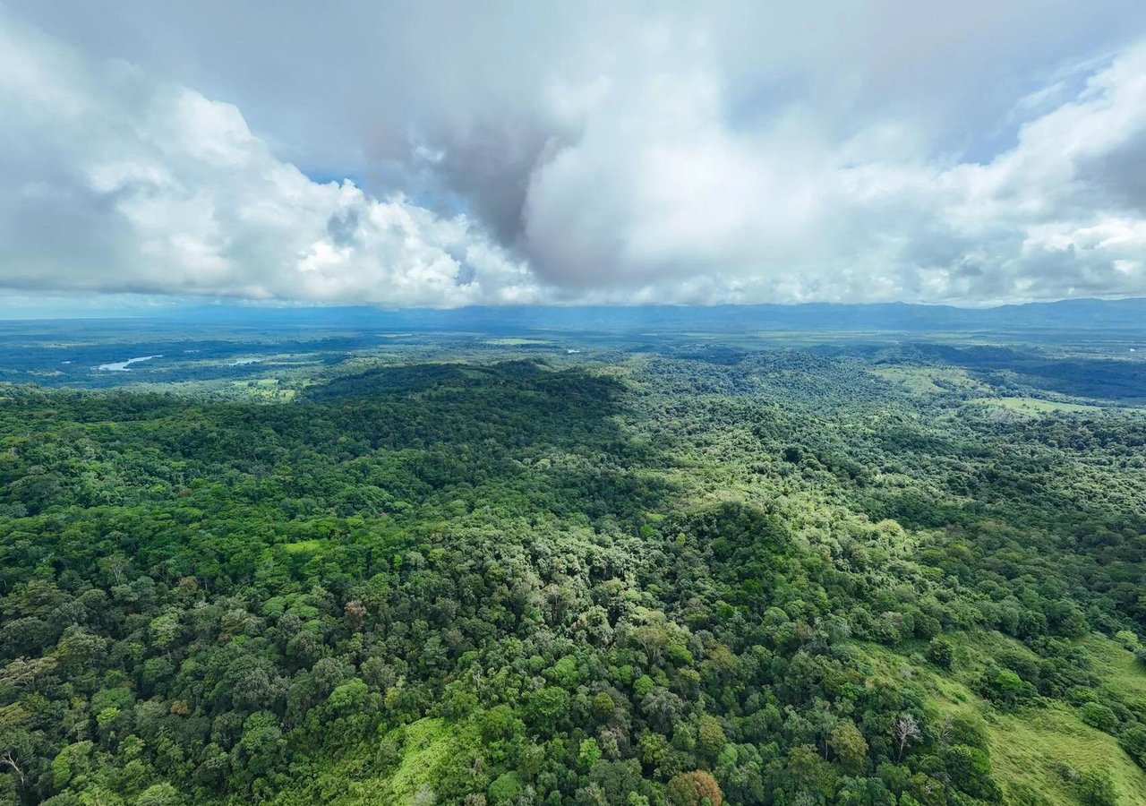 Riverside Rainforest Development Land, Osa, Puntarenas