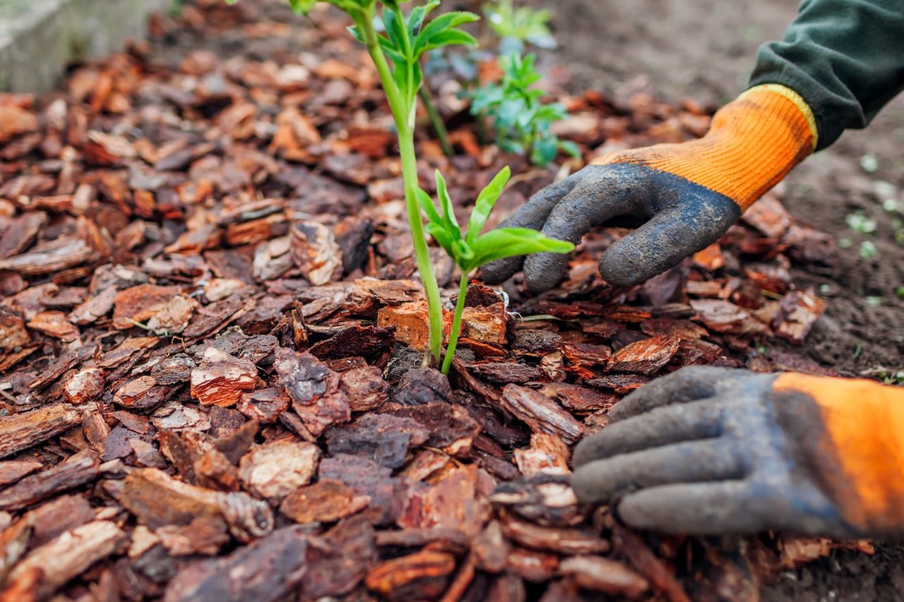 Make Your Yard a Place for Good with Environmentally Friendly Landscaping
