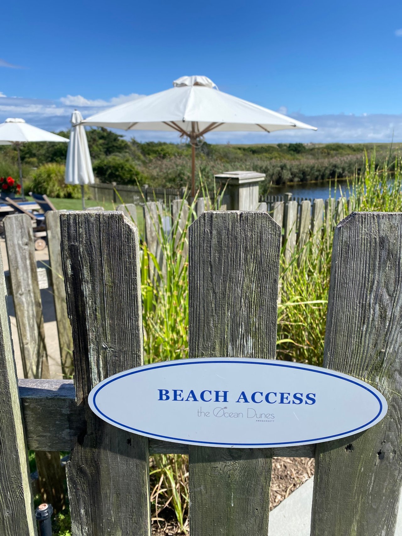 Ocean Dunes Amagansett