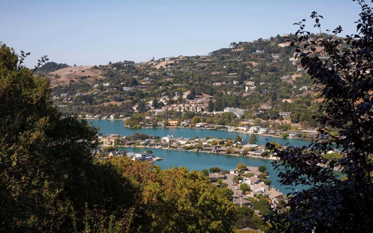 Tiburon