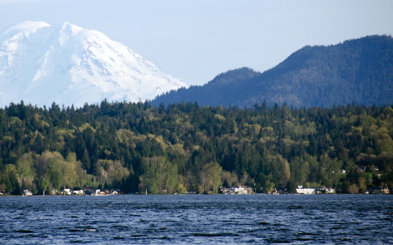 Sammamish, Washington: A Tranquil Oasis in the Housing Market