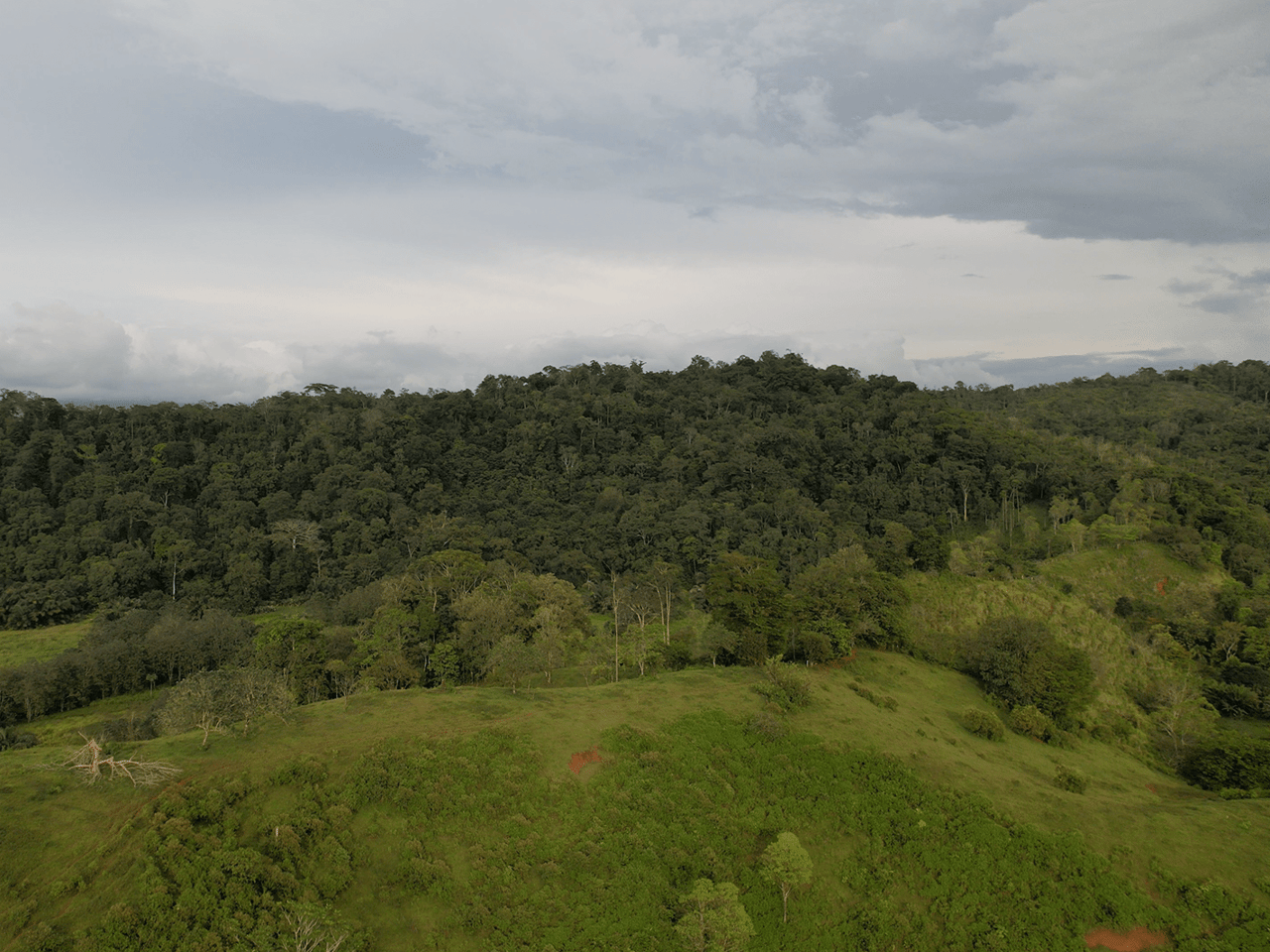 382 Acres of Sierpe River Wild Lands