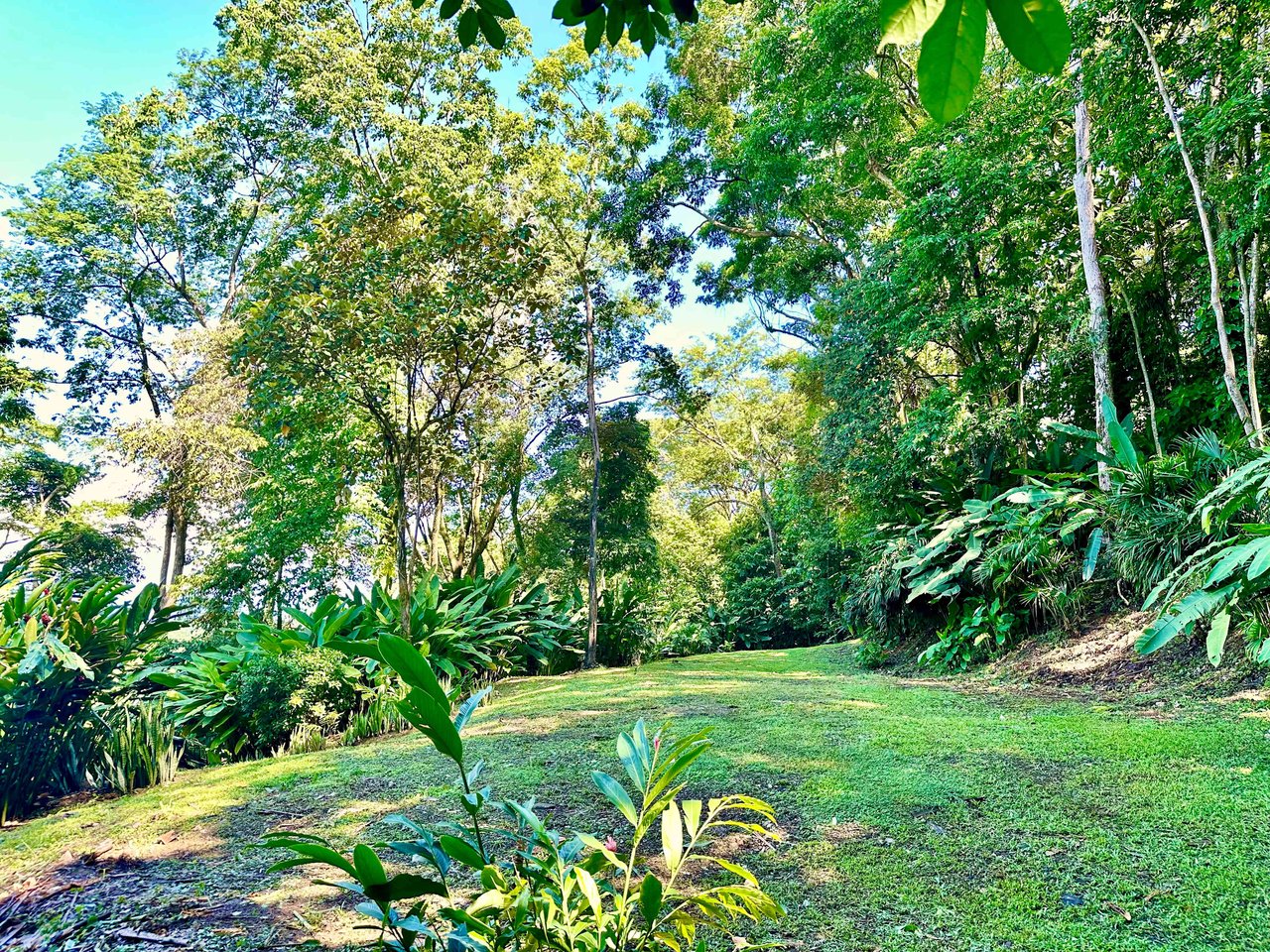 BEST OCEAN VIEW LOT Including WHALE TAIL BEACH, CAÑO ISLAND and other ISLANDS!