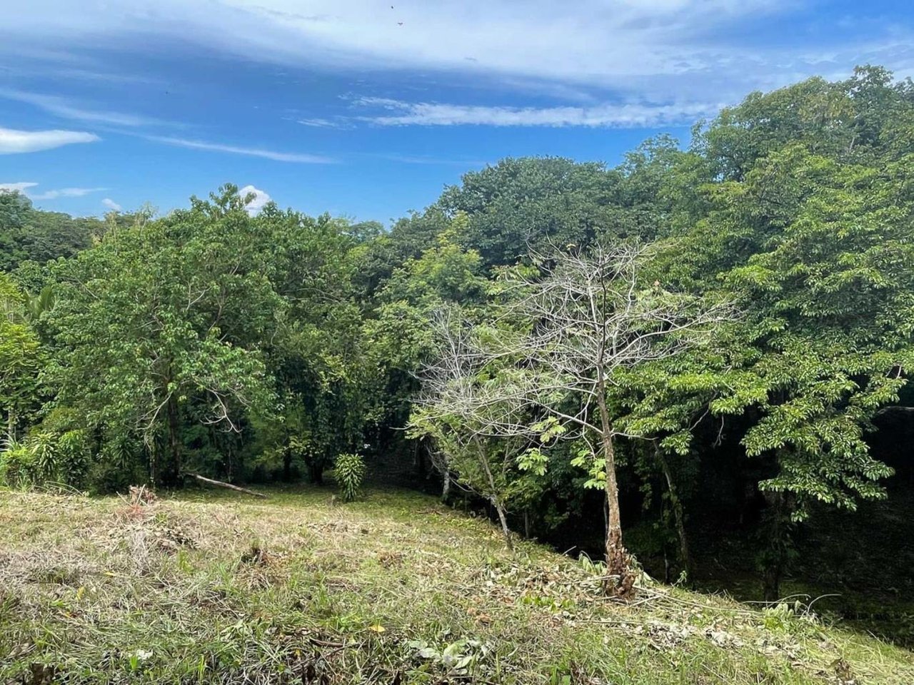 Walk to Beach Development Opportunity