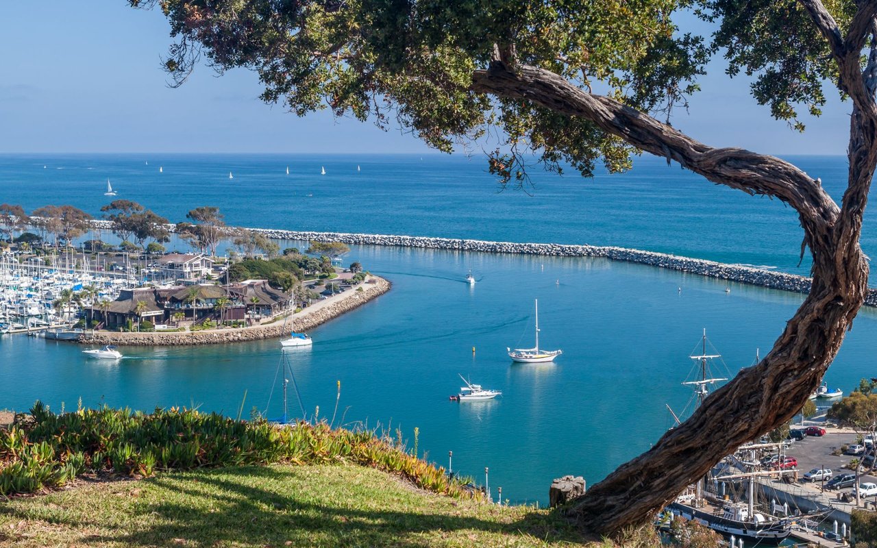 Dana Point