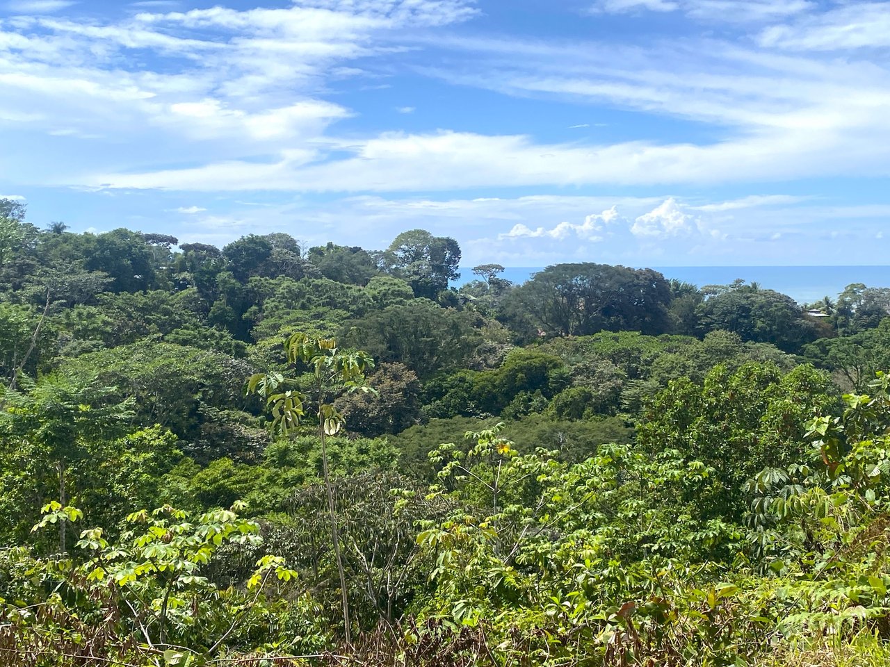 3.98 Acres, Ocean View Property In Finca Maranon With Legal Water! Ojochal 