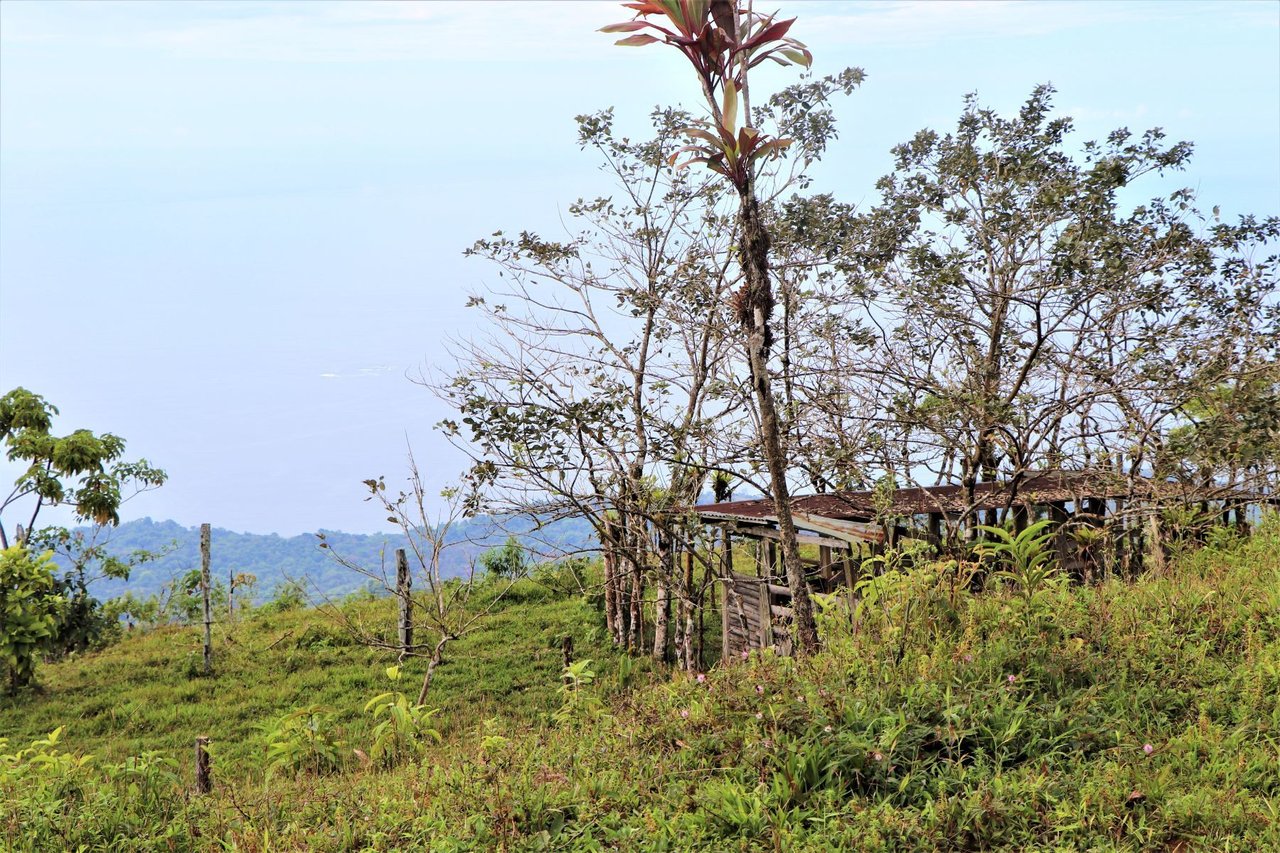 Ocean View Development Farms, Uvita, Puntarenas