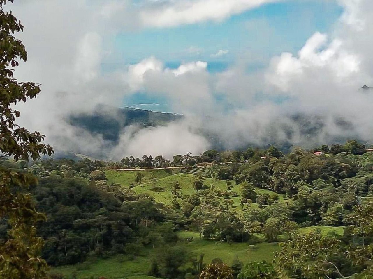 The Ultimate Sustainable Legacy, 360-degree Breath-taking Views Sea Ridge Reserve