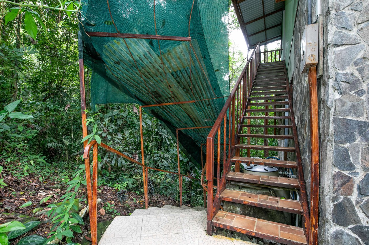 Jungle Retreat with 4 Turn-Key Vacation Rentals for Sale in Quepos