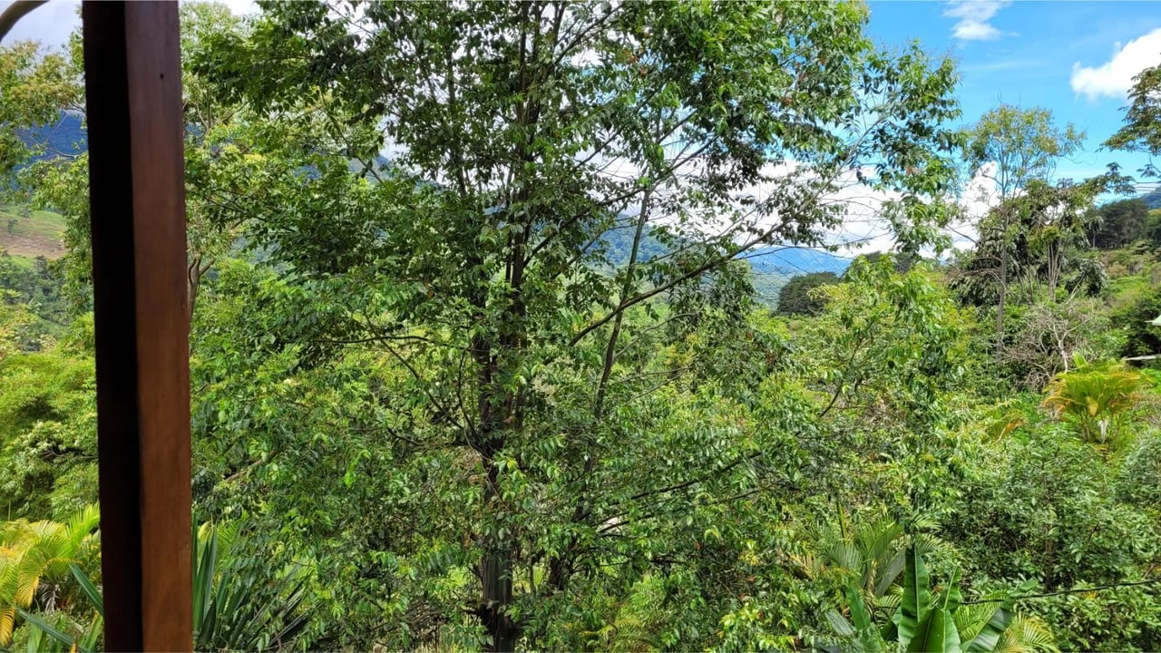 Mountain Retreat with Guest Cabin, Perez Zeledon, San Jose