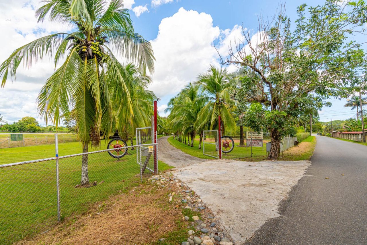 Prime Aviation Development Land, Osa, Puntarenas