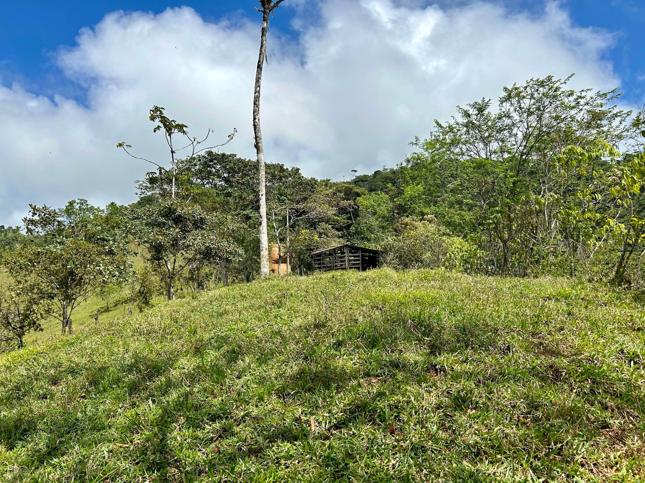 Hidden Gem: Serene Farm Retreat with Majestic Views in Costa Rica