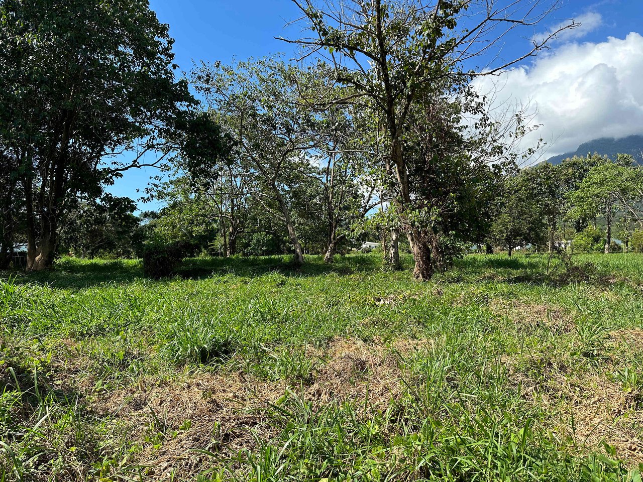 Over 3 Acres, Mountain View Lot in the Heart of Ojochal, Ready for Development!.