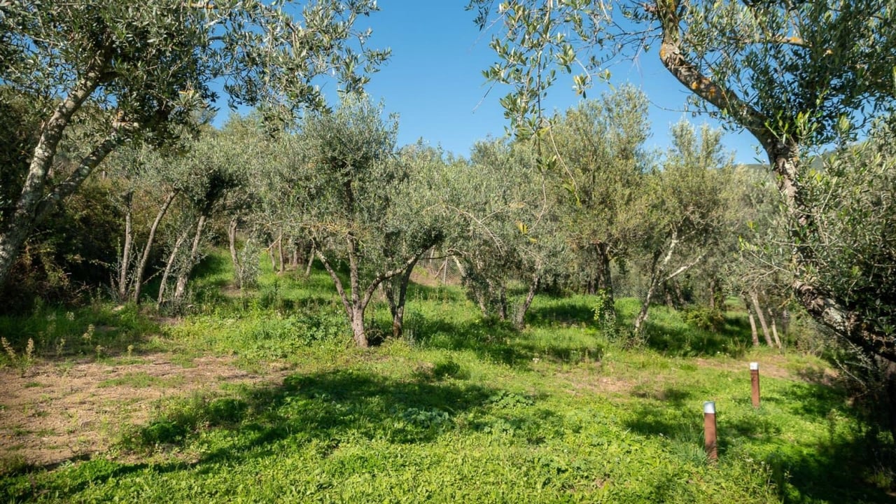 Cortona