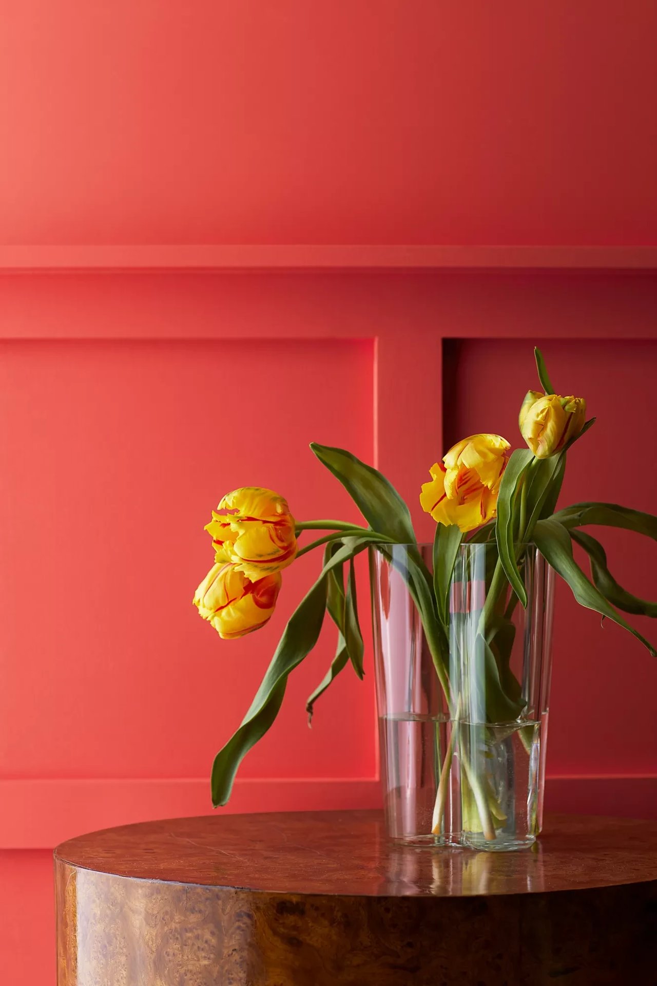 Raspberry Blush, Benjamin Moore’s 2023 Color of The Year