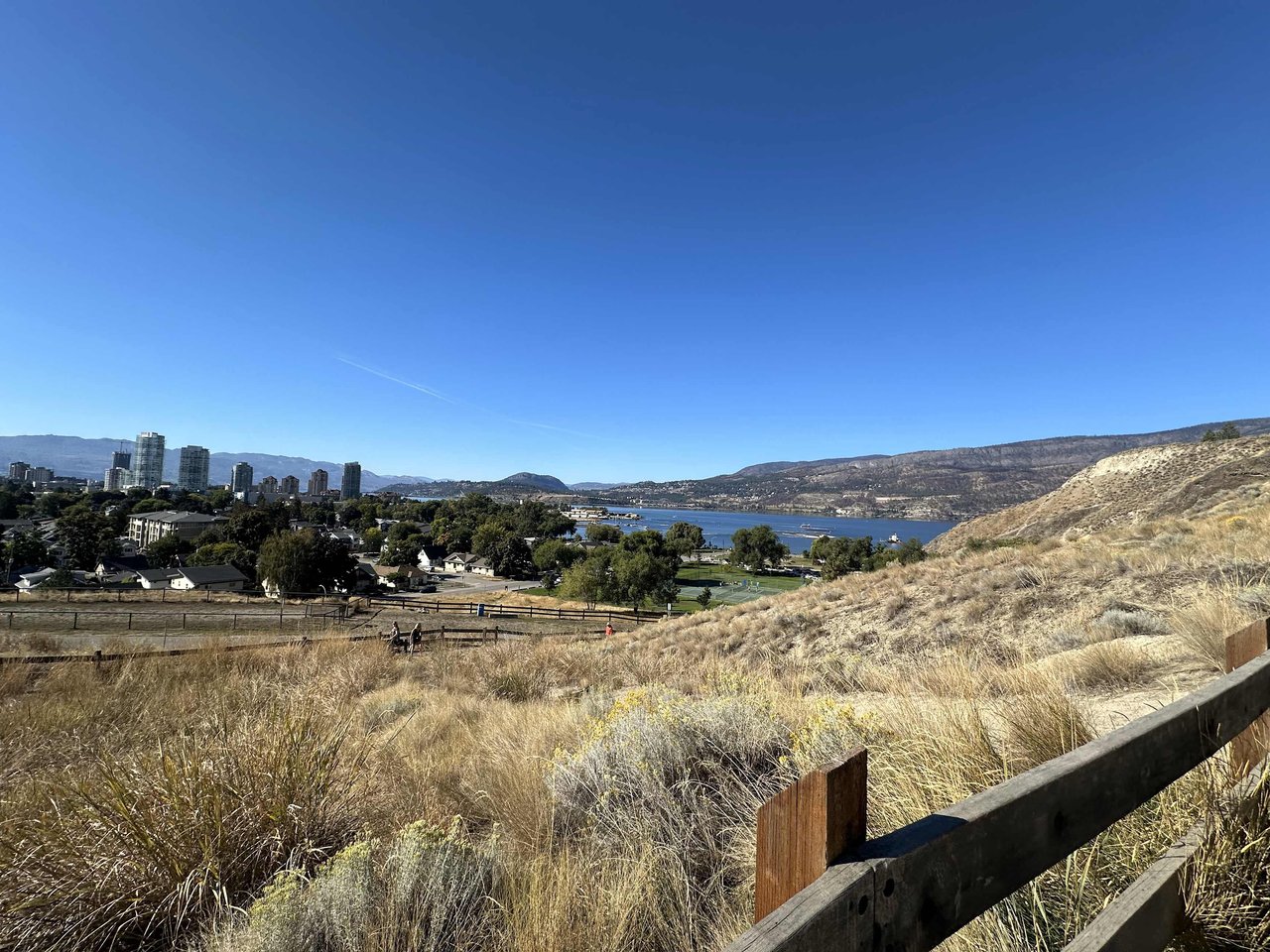 2024 Kelowna Real Estate: Key Trends for Buyers, Sellers, and Developers