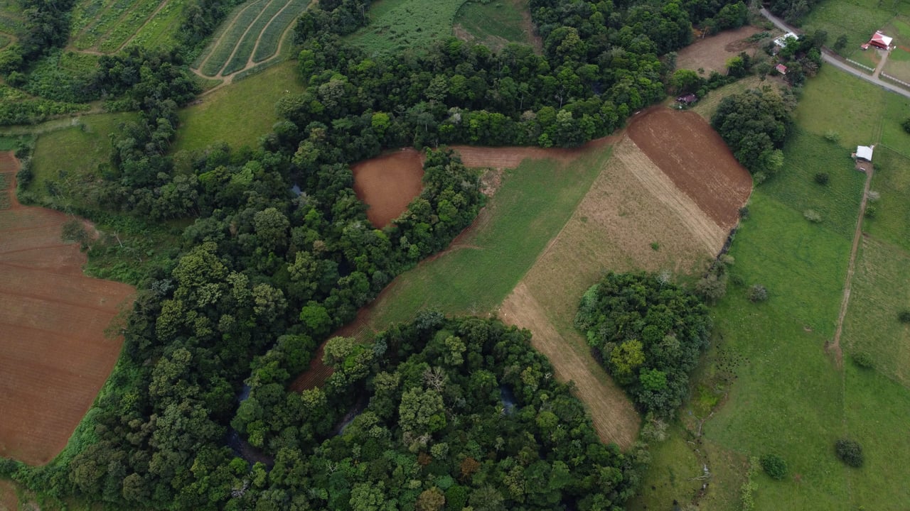 Villa Celeste Land | Embrace a unique 9-hectare Property along Rio Celeste