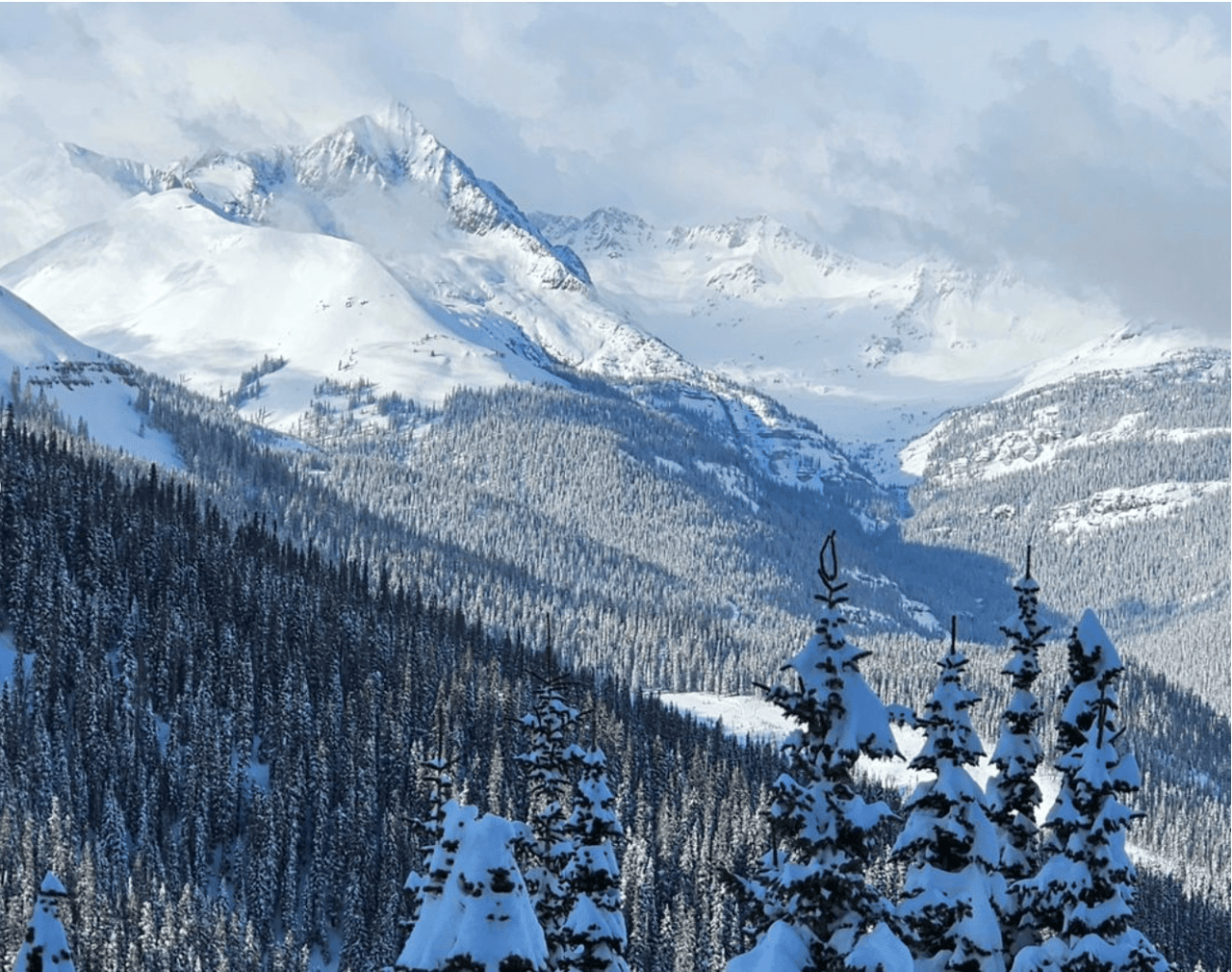 Why I am not worried about The NAR Settlement: With Any Great Change Comes A Great Opportunity