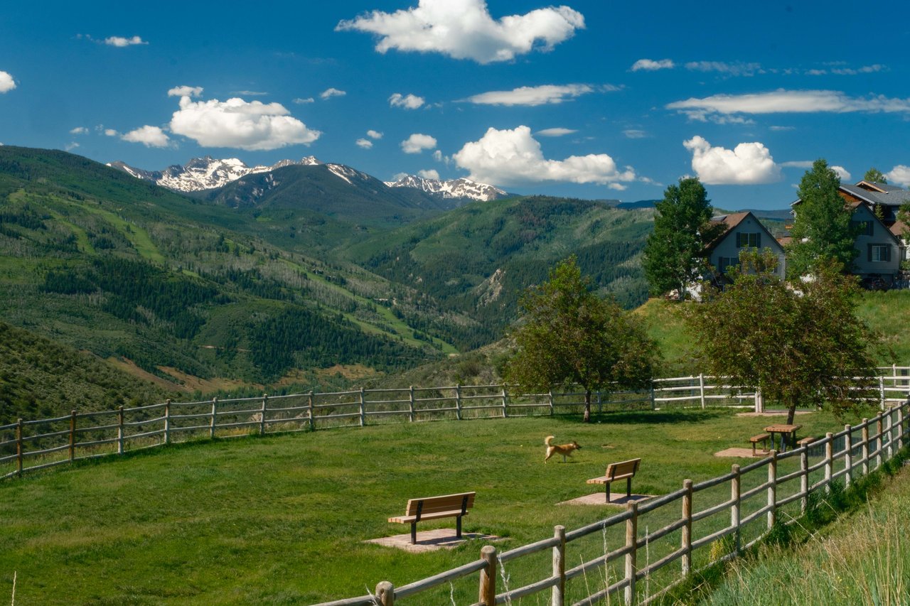 Dog play areas in Vail area at Wildridge Dog Park